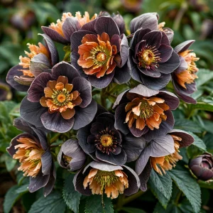 Морозник Блум Айс купить по цене от 499р. в интернет-магазине «Посадика» с доставкой почтой в в Шумихае и по всей России – [изображение №1].